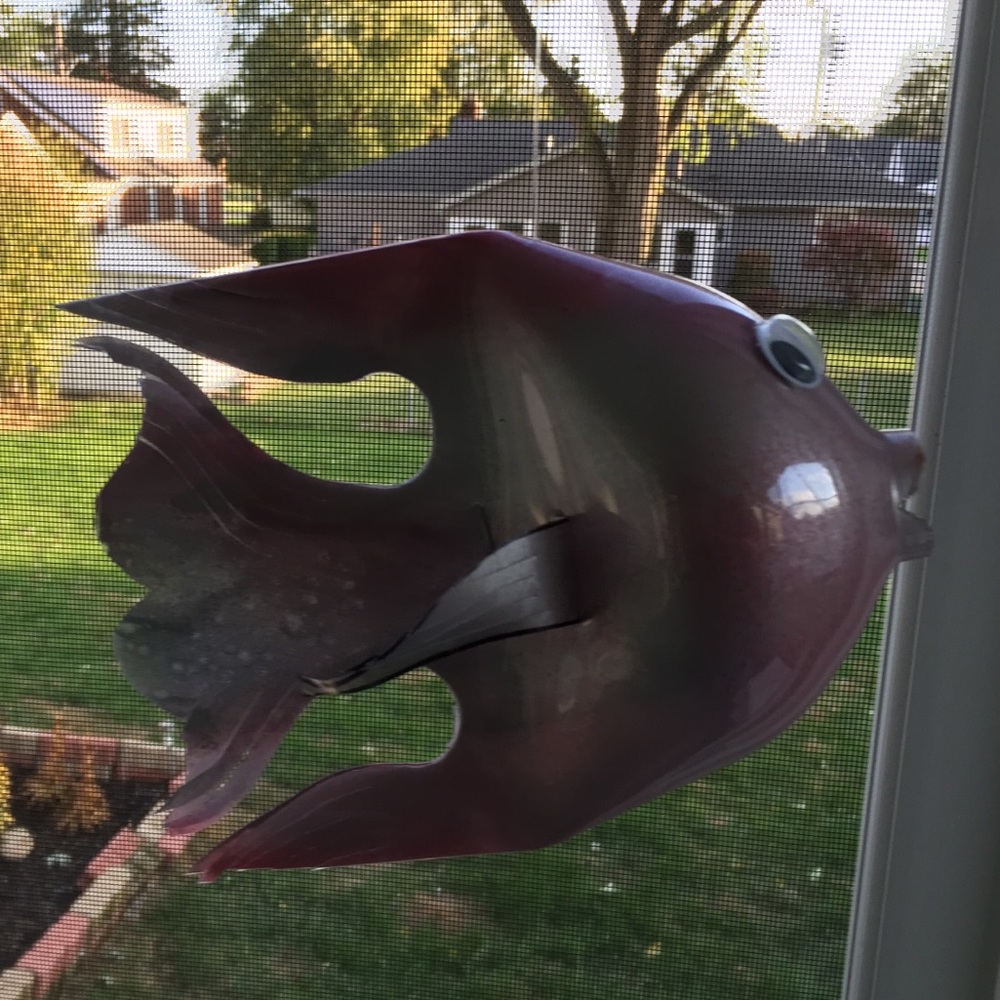 Water bottle fish that are hand made.